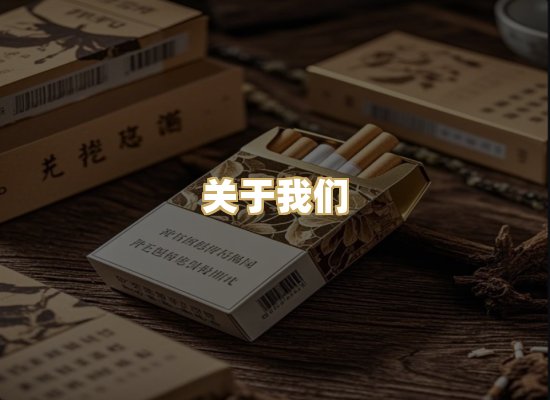 关于我们